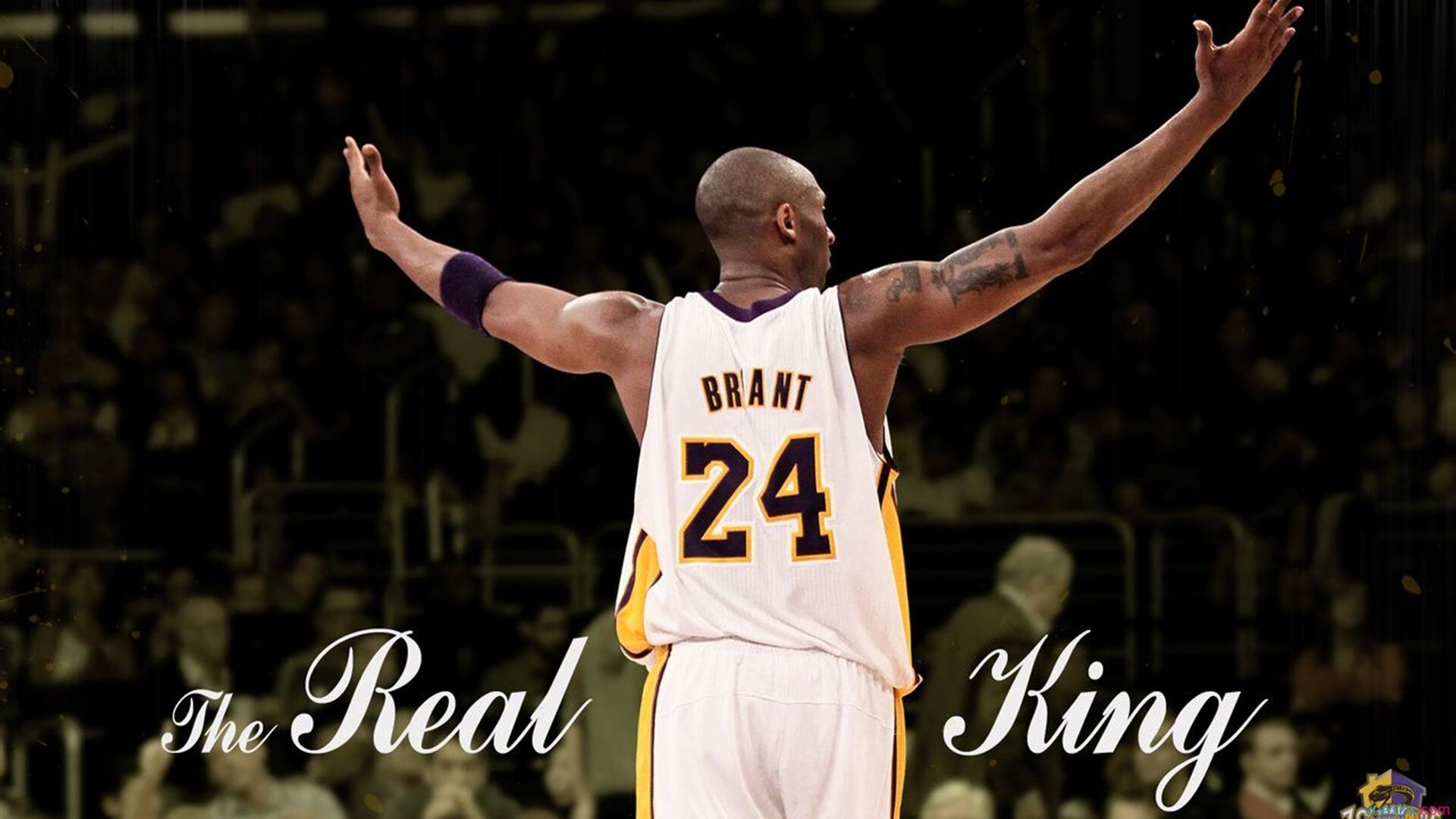 kaiyun-_开拓者全力以赴，挑战联盟霸主_，开拓者团队官网